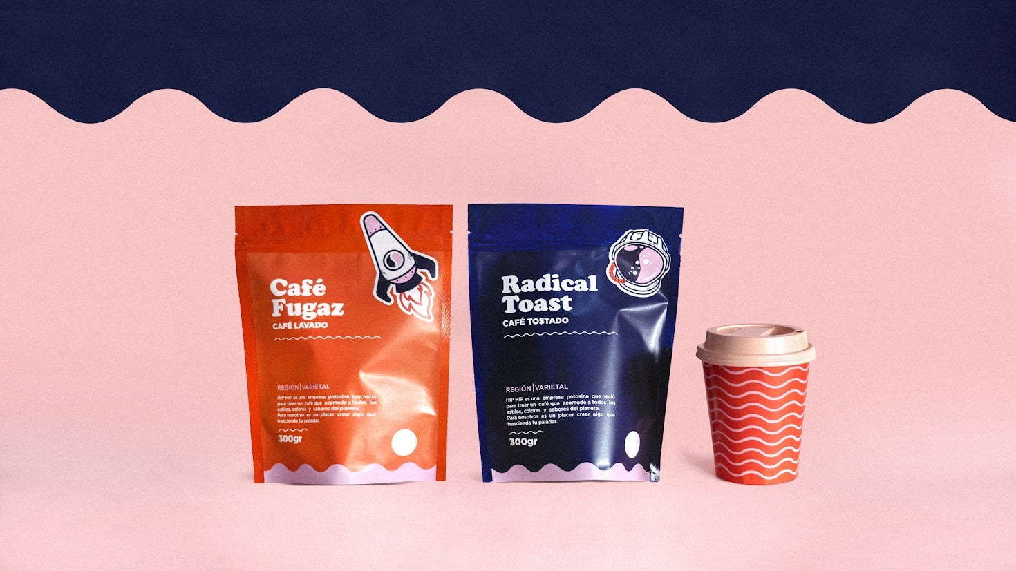 Spotlight on Popular Bundles of the Month